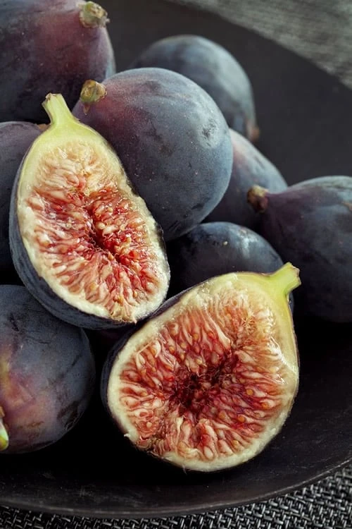 Chicago Cold Hardy Fig Tree - 6 Pack Of 1 Gallon Pots 3 Chicago Cold Hardy Fig Tree - 6 Pack Of 1 Gallon Pots