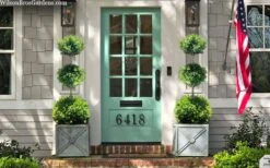 Green Mountain Boxwood 3-Ball Poodle Tier Topiary - 6 Gallon Pot 9 Green Mountain Boxwood 3-Ball Poodle Tier Topiary - 6 Gallon Pot -Garden Plants buxus green mountain 3 ball topiary 20