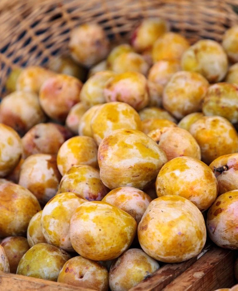 Emerald Beaut Asian Plum 3 Emerald Beaut Asian Plum