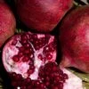 Eve Pomegranate -Garden Plants eve pomegranate