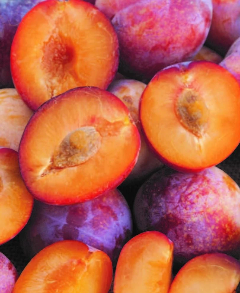 Flavor Punch Pluerry 3 Flavor Punch Pluerry