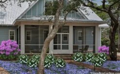 Snow Globe Gardenia - 1 Gallon Pot 13 Snow Globe Gardenia - 1 Gallon Pot -Garden Plants gardenia jasminoides snow globe 2 1