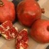 Red Silk Pomegranate -Garden Plants httpraintreenursery.netpd491 01