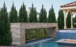 Spartan Juniper - 6 Pack Of 1 Gallon Pots -Garden Plants juniperus chinensis spartan columnar juniper 40