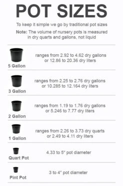 Front Page -Garden Plants pot size chart 2022 51