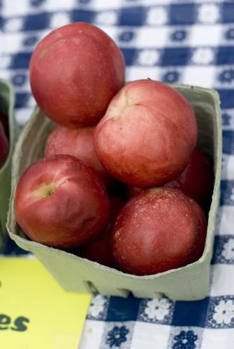 Raspberry Red Nectarine 3 Raspberry Red Nectarine